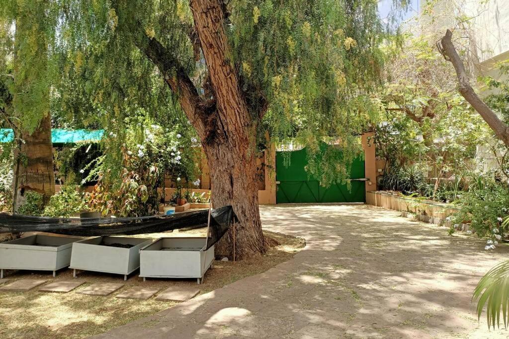 Apartamento Apartamento-Bungalow con jardín y garaje Santa Cruz de Tenerife Exterior foto